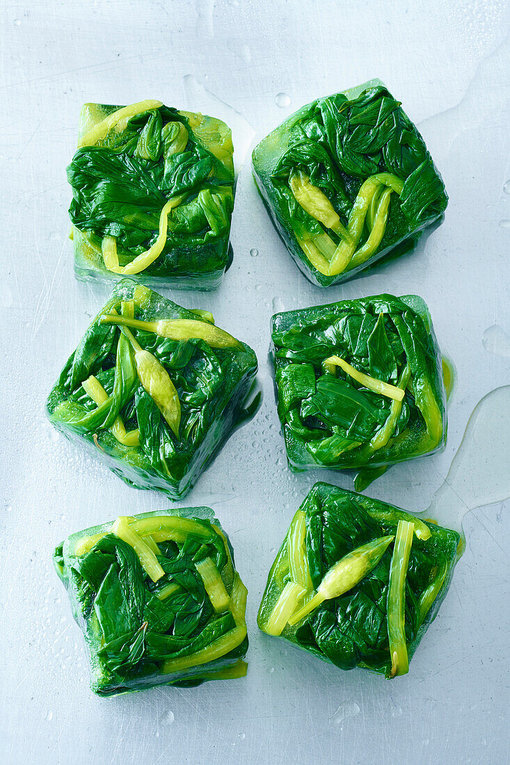 Preserving wild garlic with ice cubes