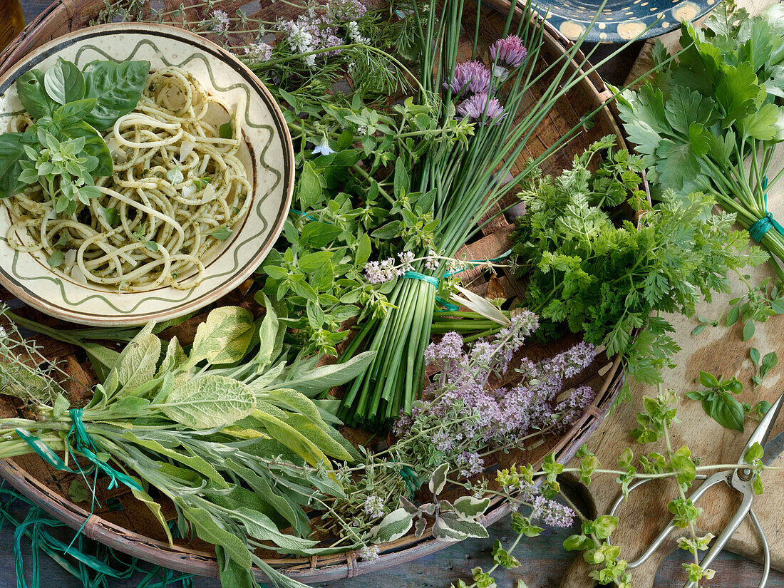 An arrangement on a plate of pasta with pesto and various herbs