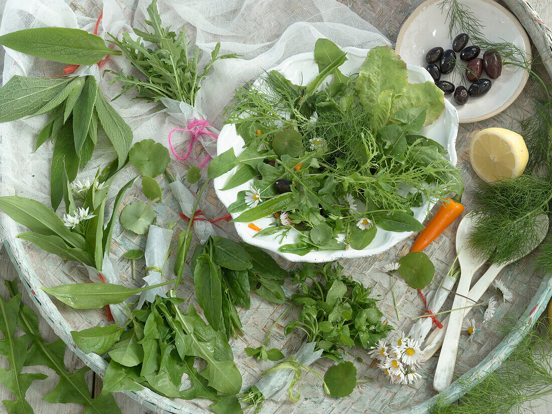 Wild herb salad