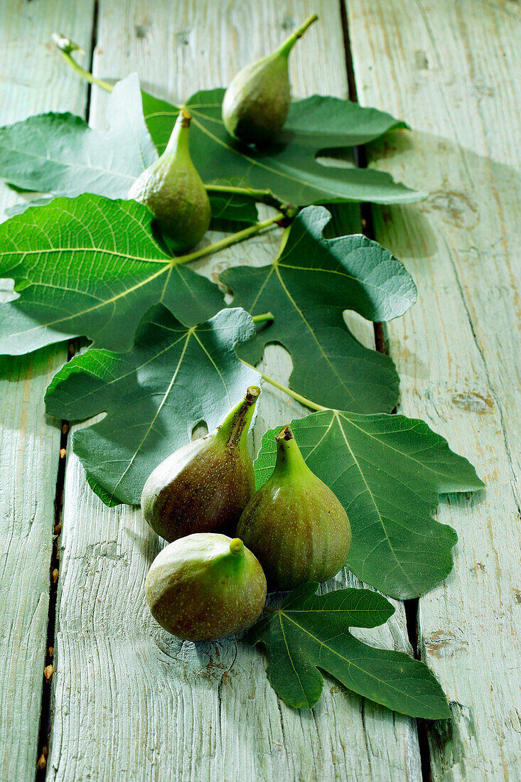 Fresh figs and fig leaves