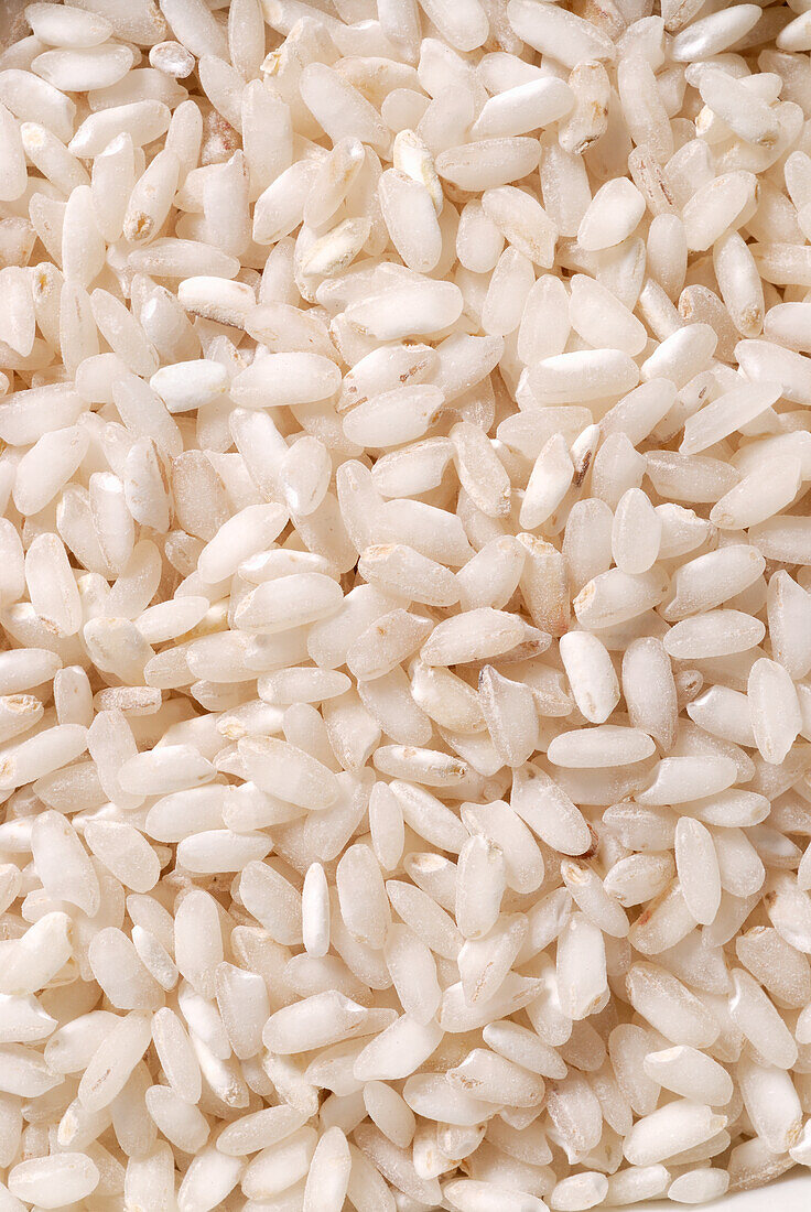 Vercelli-Reis (bildfüllend)