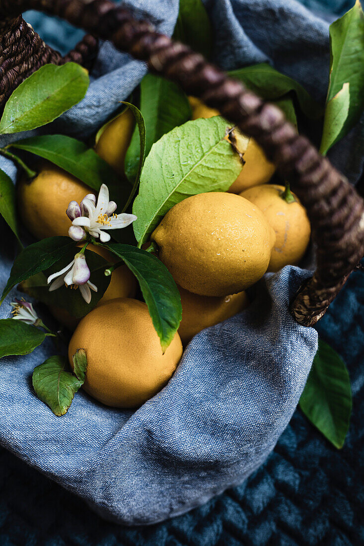 Homegrown Lemons, freshly picked in a wicker basket