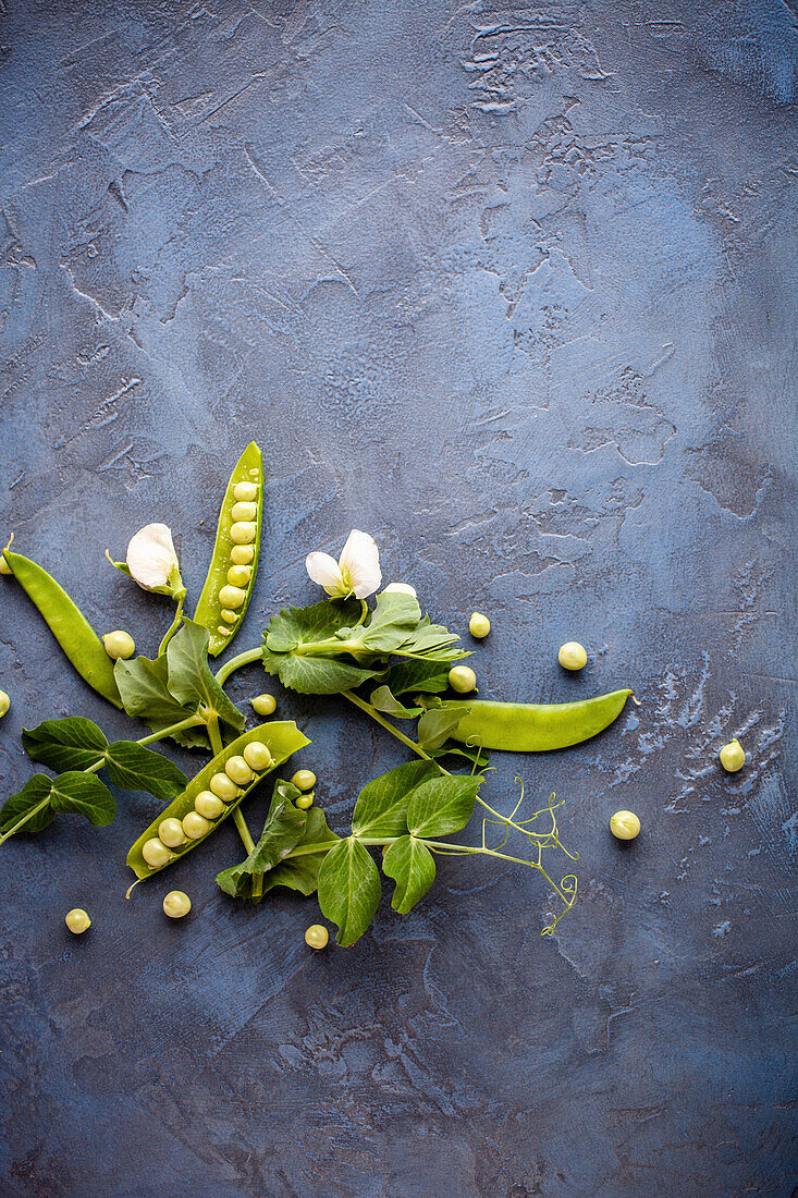 Frische Erbsen mit Sprossen und Blüten