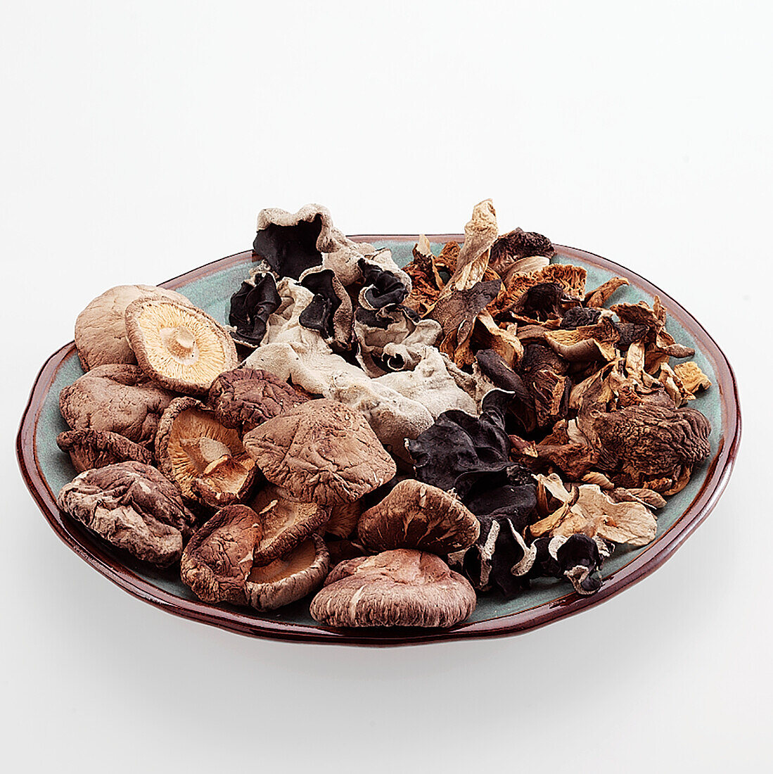 Variety of dried wild mushrooms on a stoneware plate