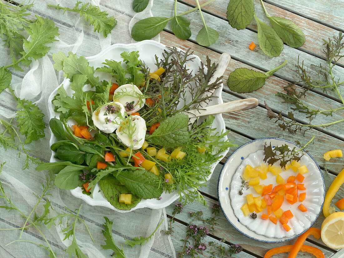 Salat aus verschiedenen Sorten Blattsenf mit Ziegenkäse und Paprika