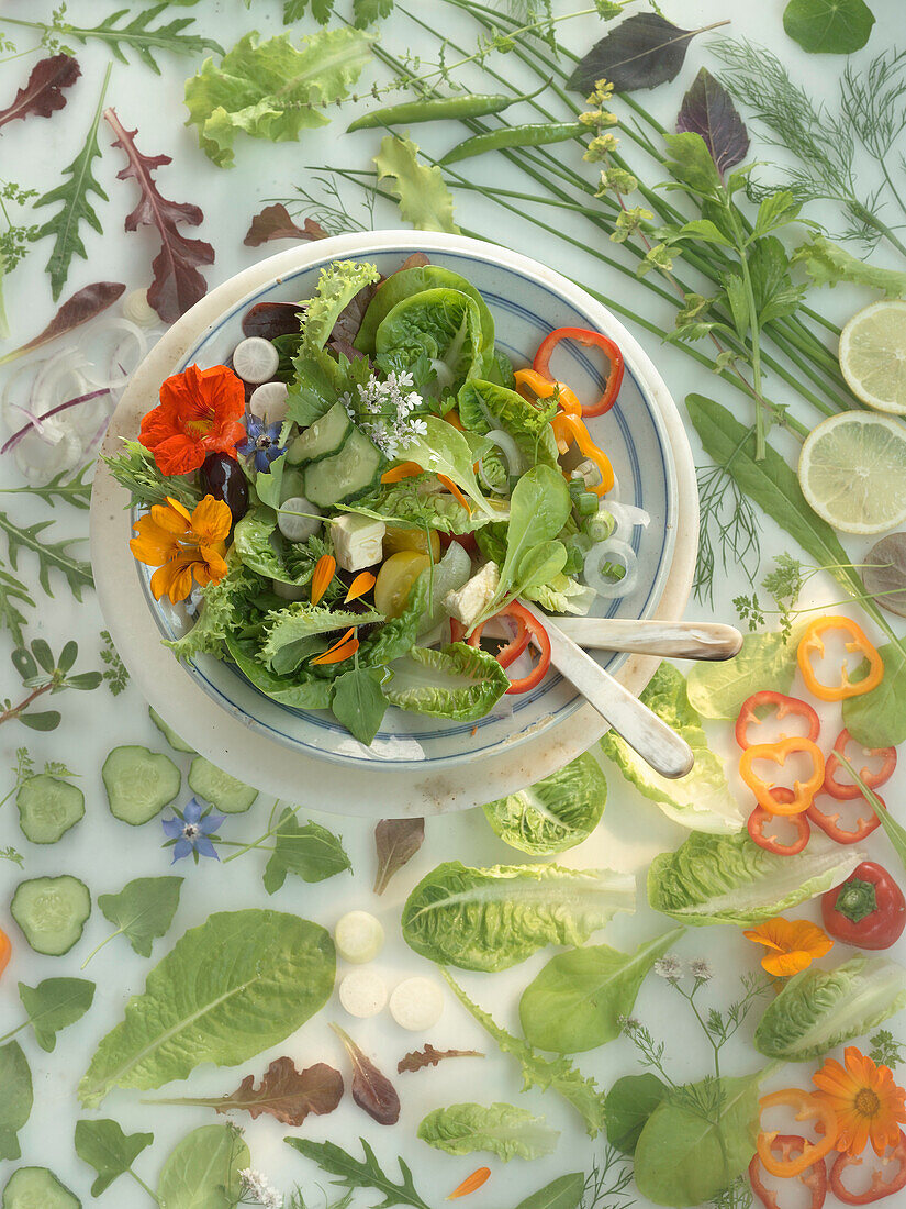 Gemischter Salat auf Teller, umgeben von Zutaten