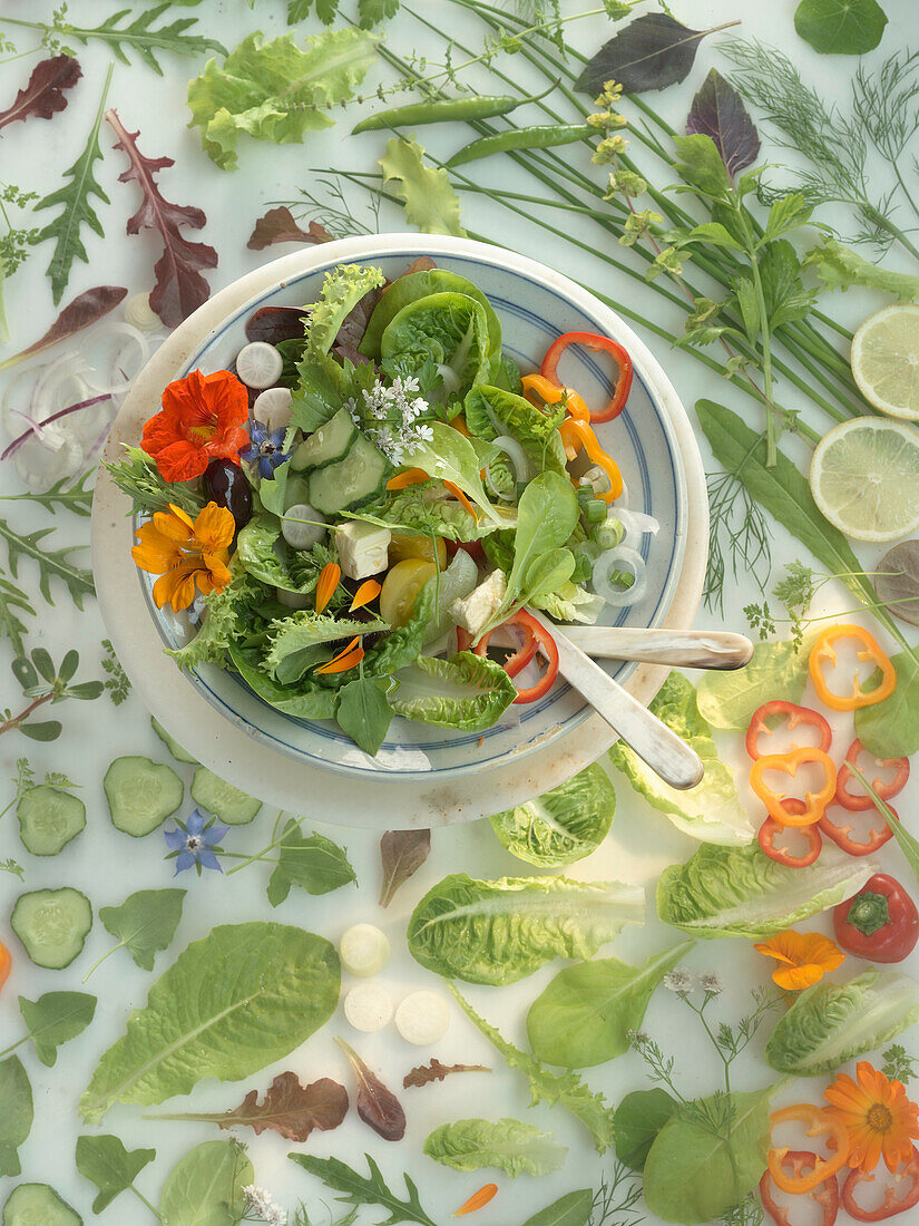 Mixed salad on a plate surrounded by ingredients