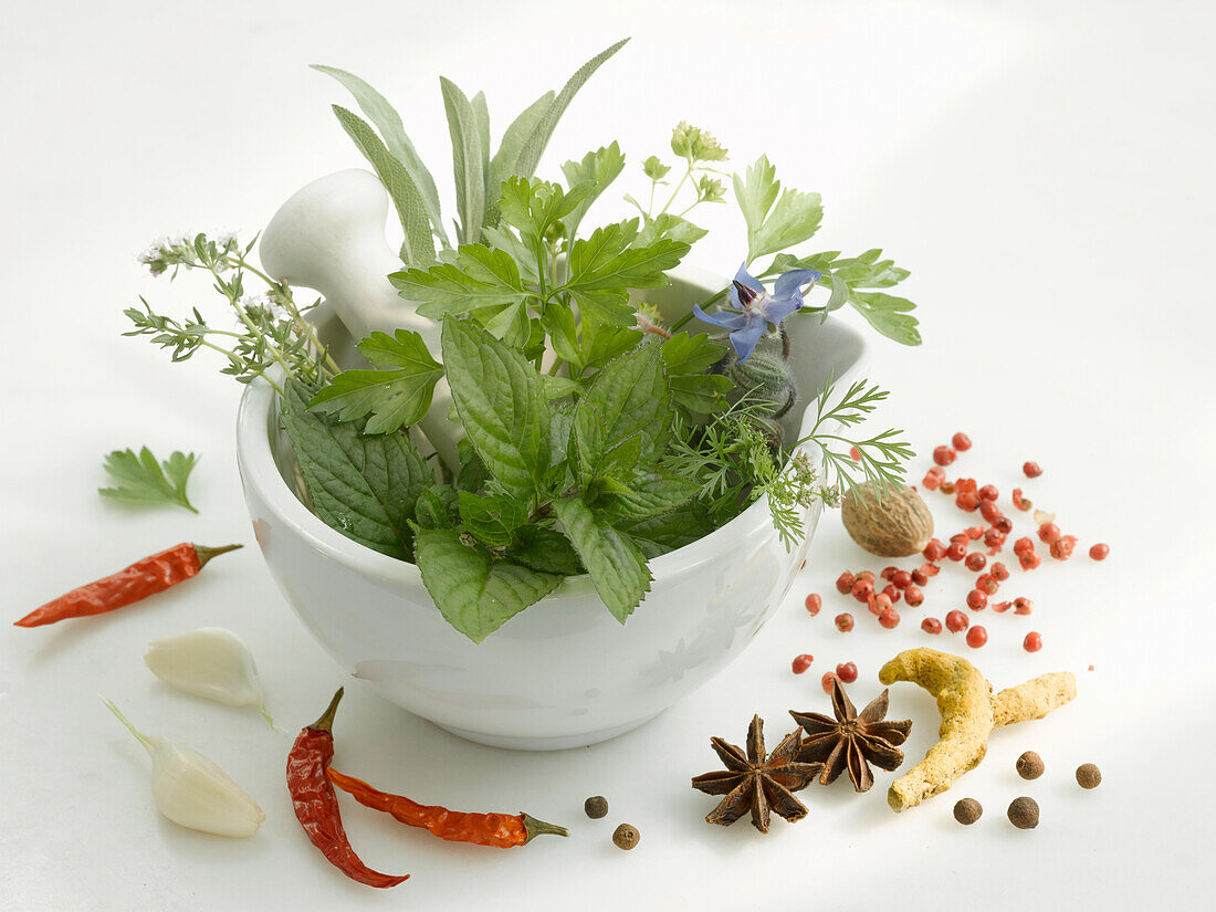 Mortar with fresh herbs and spices