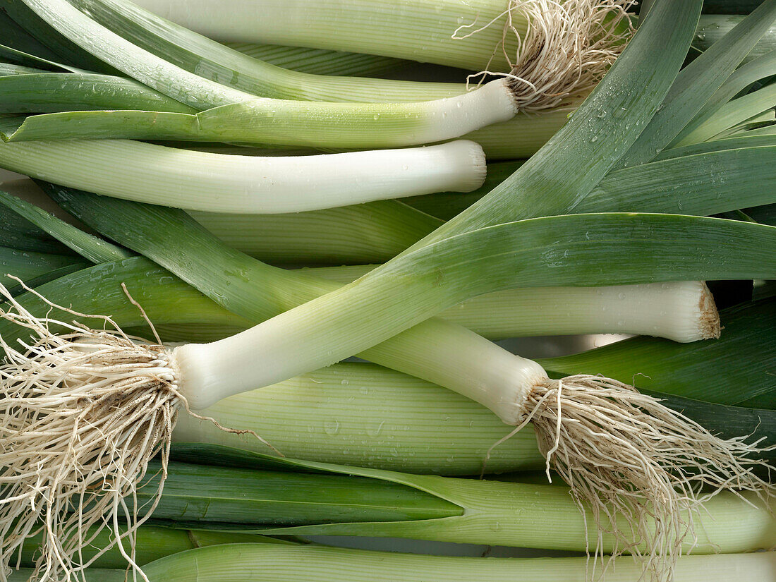 Several leeks, filling the picture