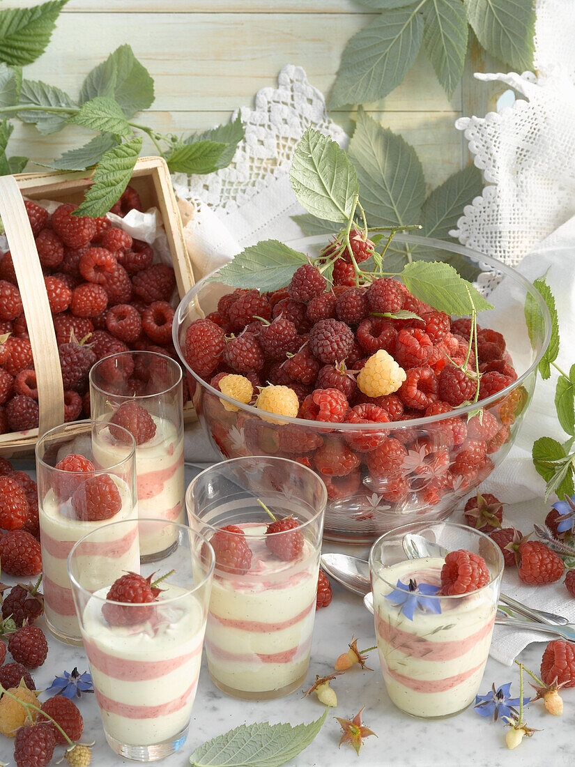 Stillleben mit frischen Himbeeren und Himbeer-Vanille-Eis in Gläsern