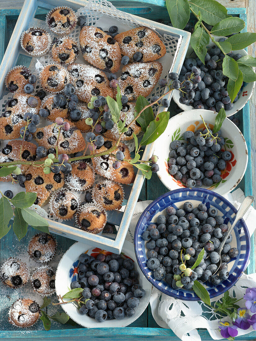 Blueberry muffins and blueberries