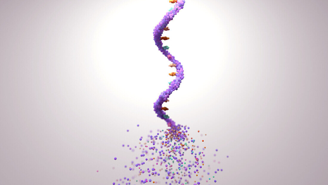 RNA disintegrating, conceptual illustration