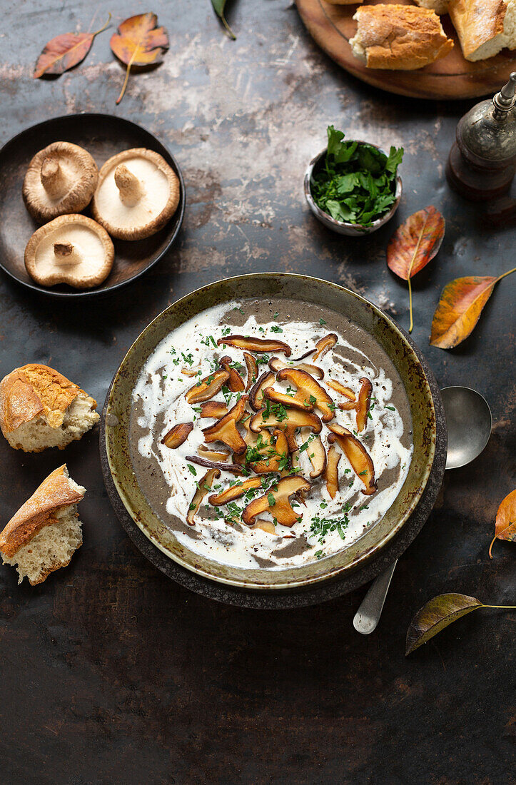 Autumnal mushroom cream soup