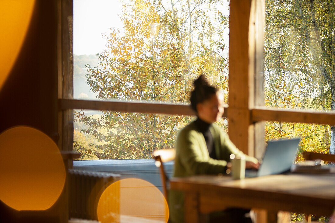 Businesswoman working on laptop in sunny autumn cafe