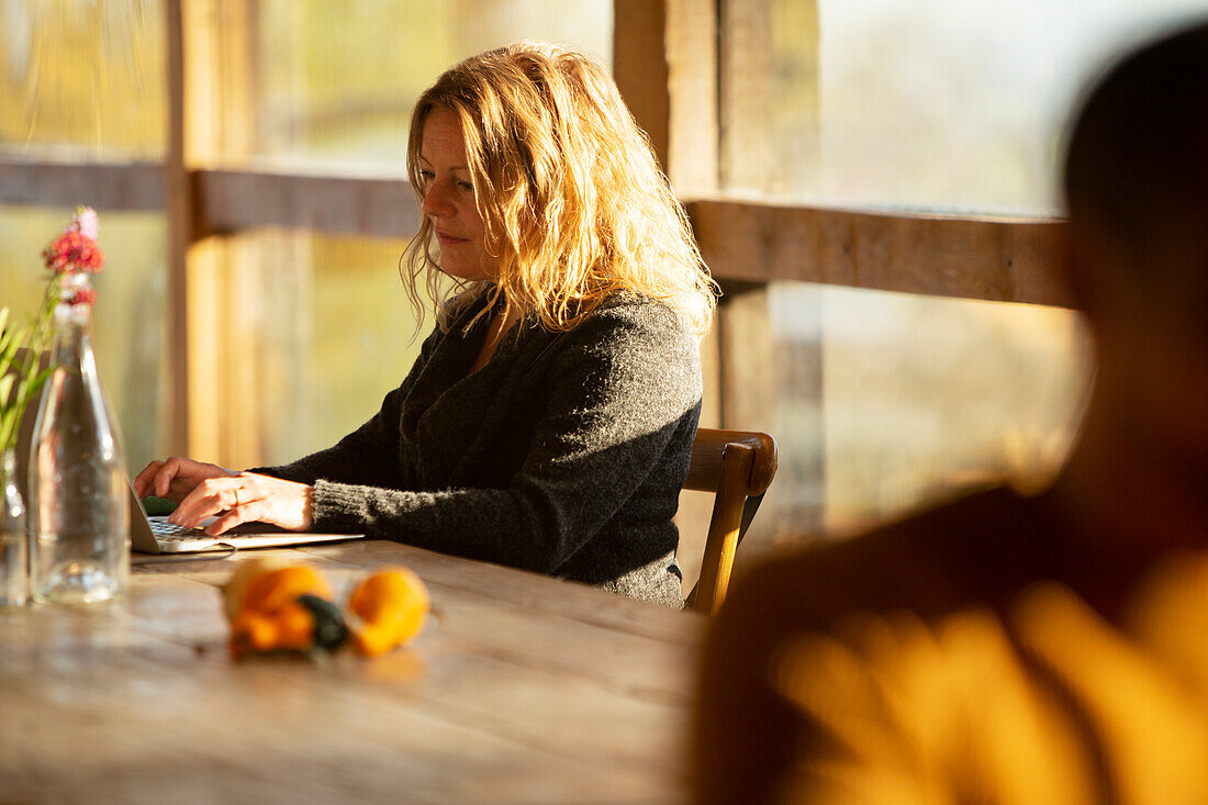 Businesswoman working on laptop in sunny restaurant