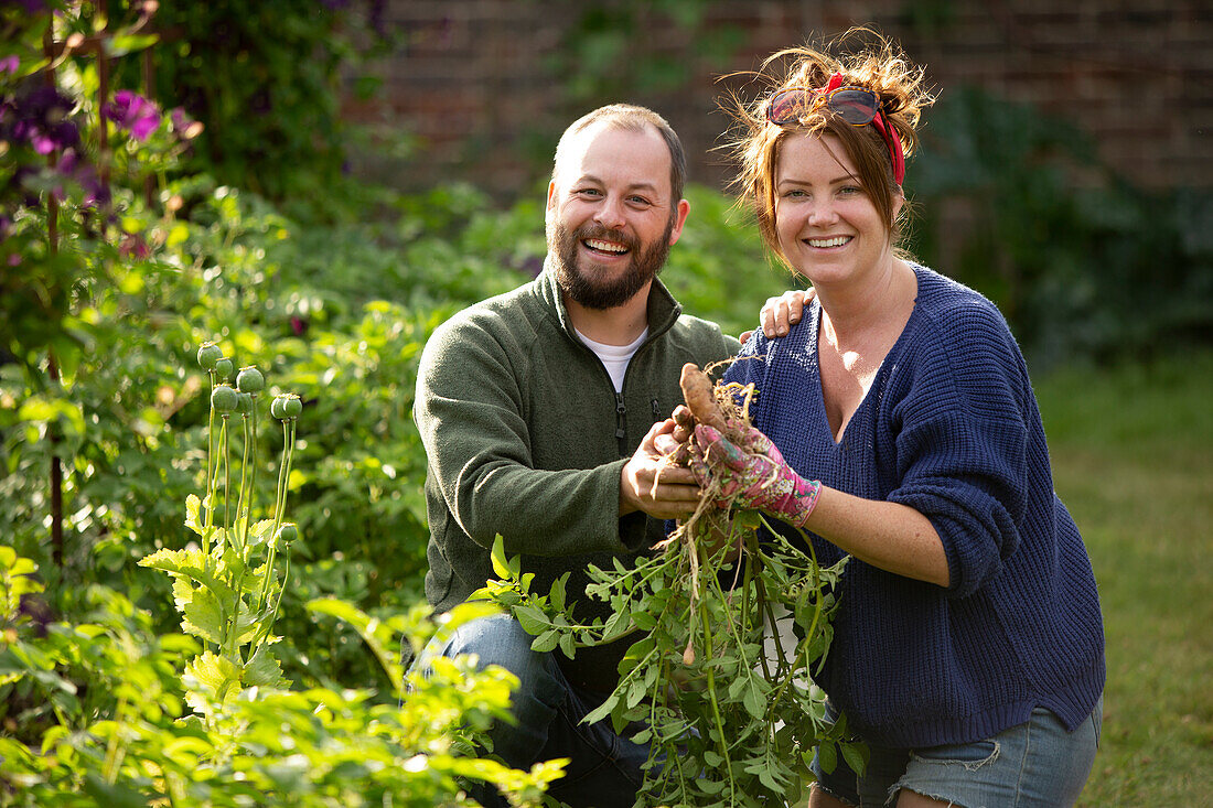 Happy couple harvesting fresh vegetables in sunny garden