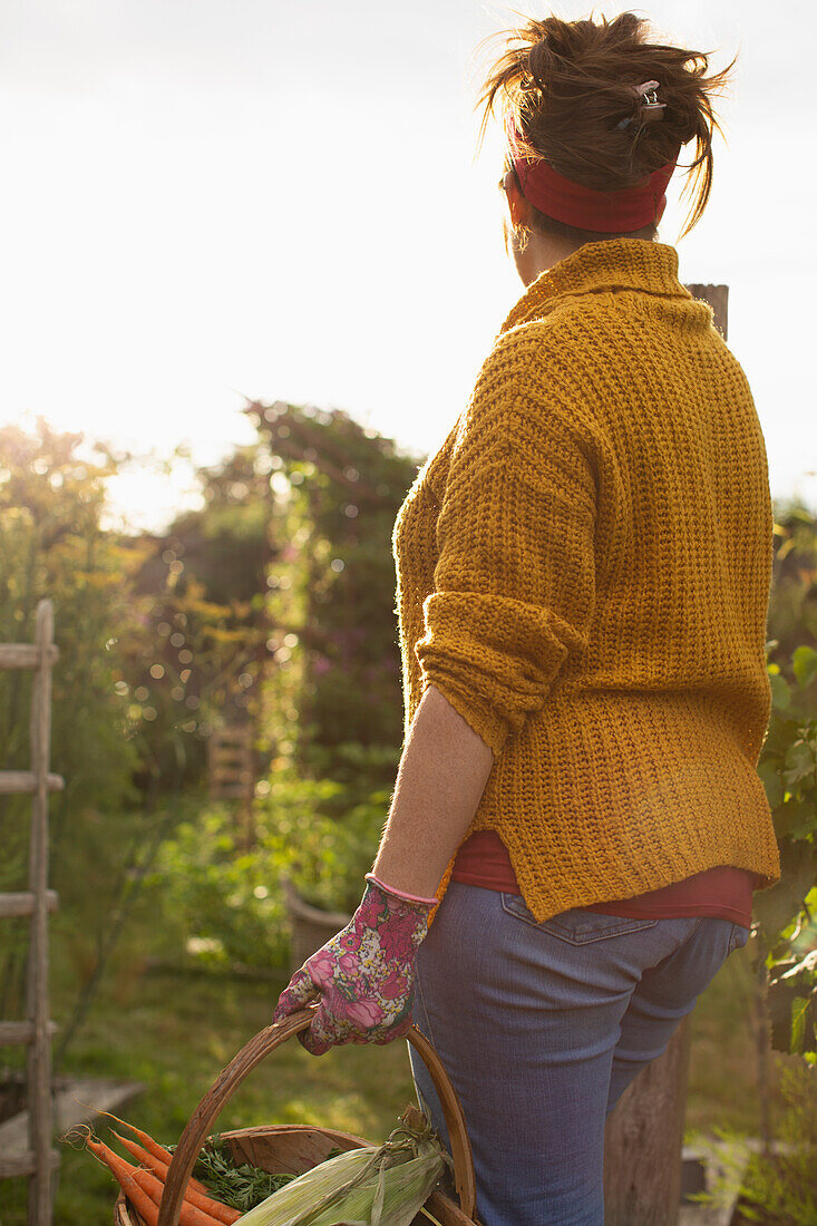 Woman harvesting fresh vegetables in sunny summer garden