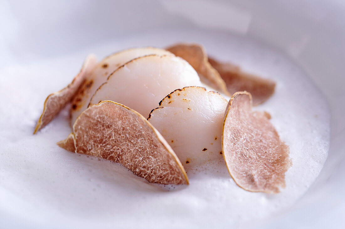 Scallop carpaccio with white truffle