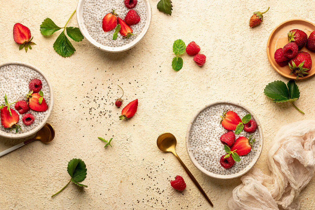 Chiapudding mit Erdbeeren und Himbeeren