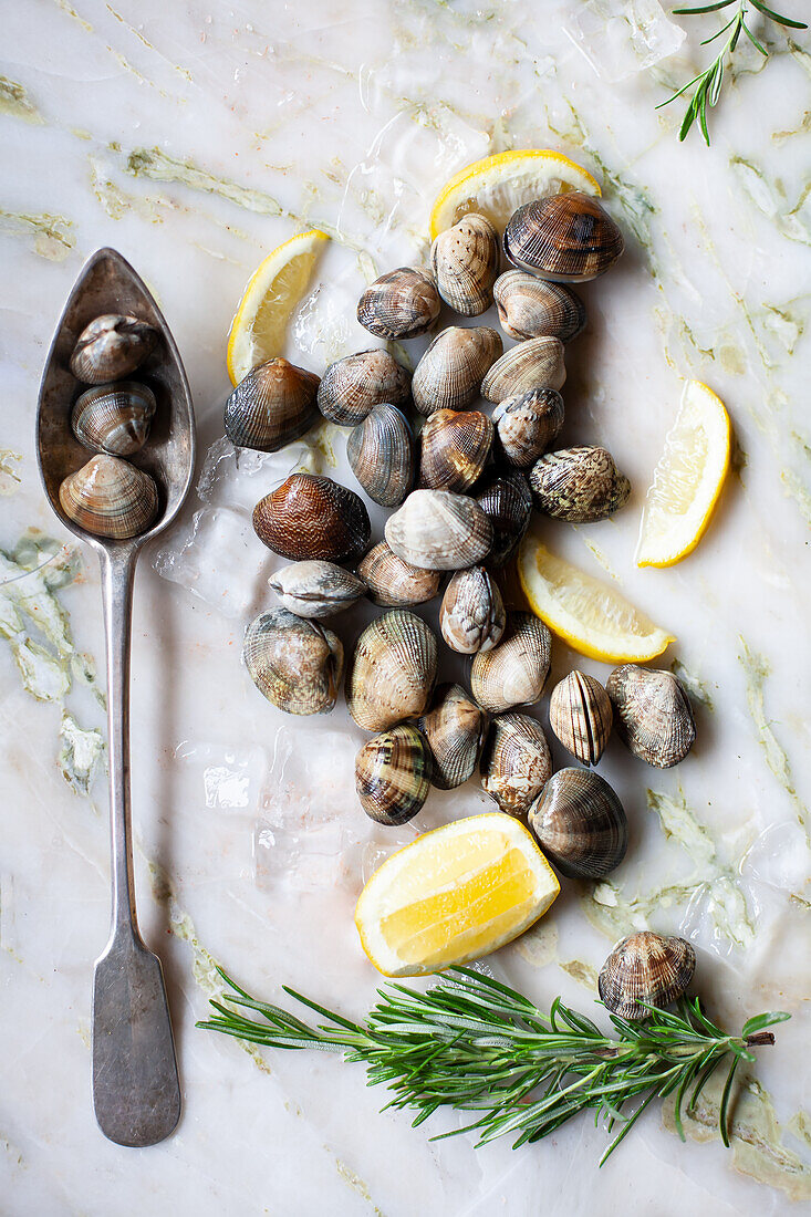 Venusmuscheln mit Zitrone und Rosmarin