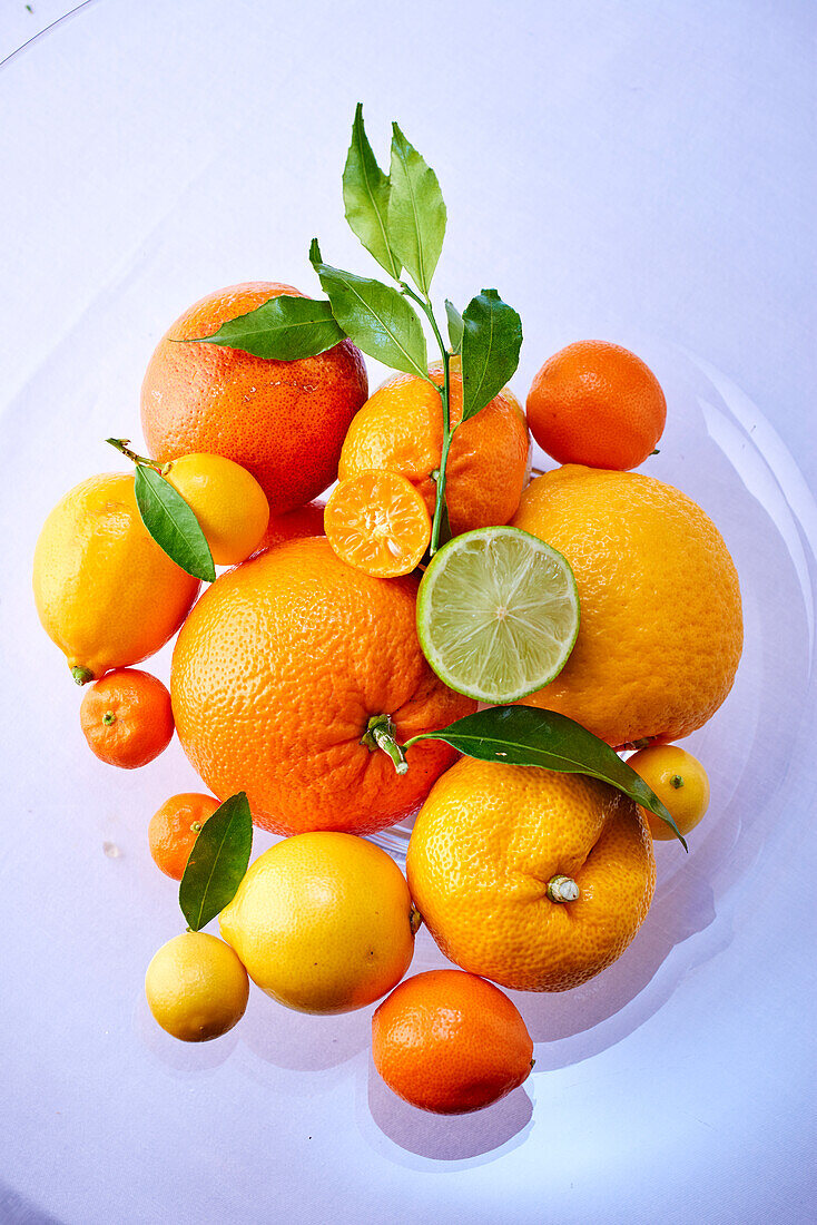 Selection of citrus fruit