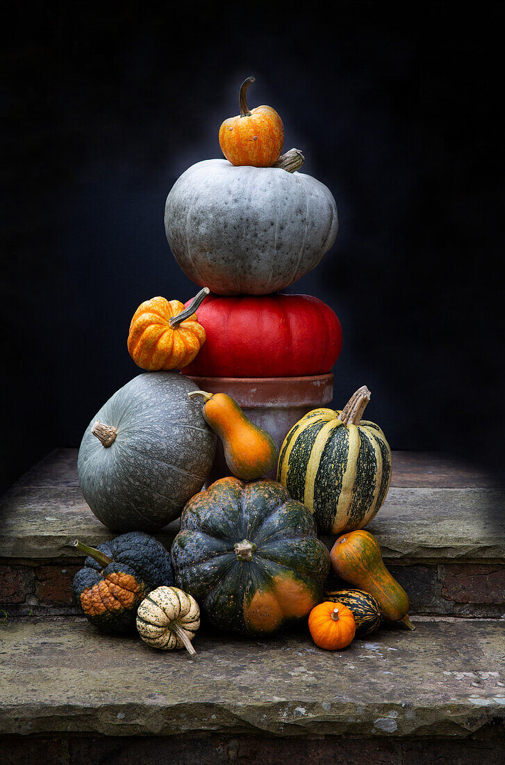 Still life of pumpkins