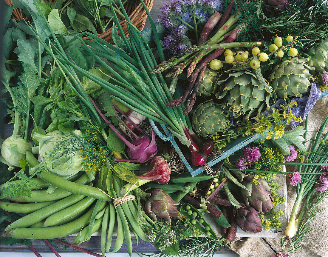 Different kinds of green and purple vegetables