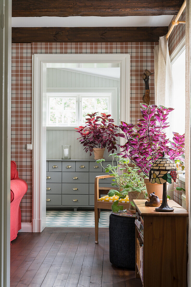 Bookcase with table lamp and houseplant in living room with tartan wallpaper