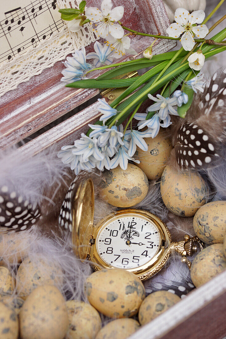 Stilleben mit Wachteleiern, Taschenuhr, Puschkinienblüten, Federn und Zweig mit Kirschblüten als Osterdekoration