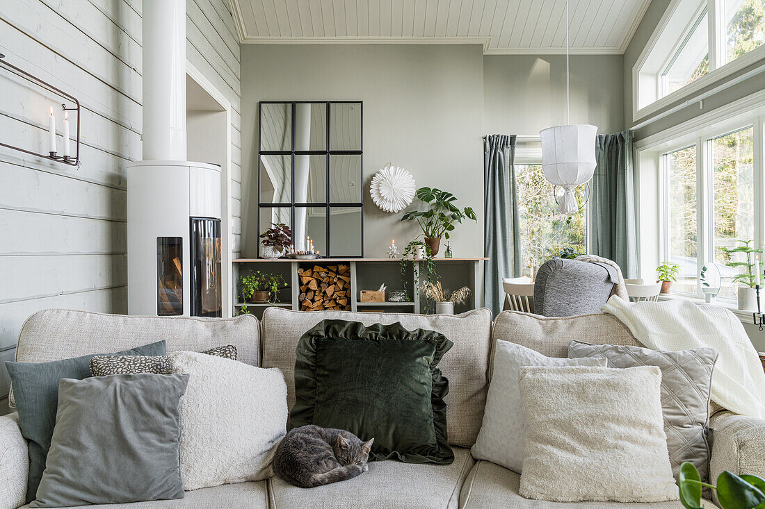 Cat on comfortable sofa with scatter cushions and fireplace in background