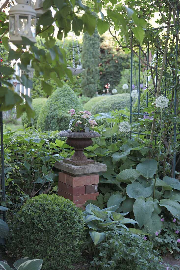 Column with a pedestal planter between box ball and hostas