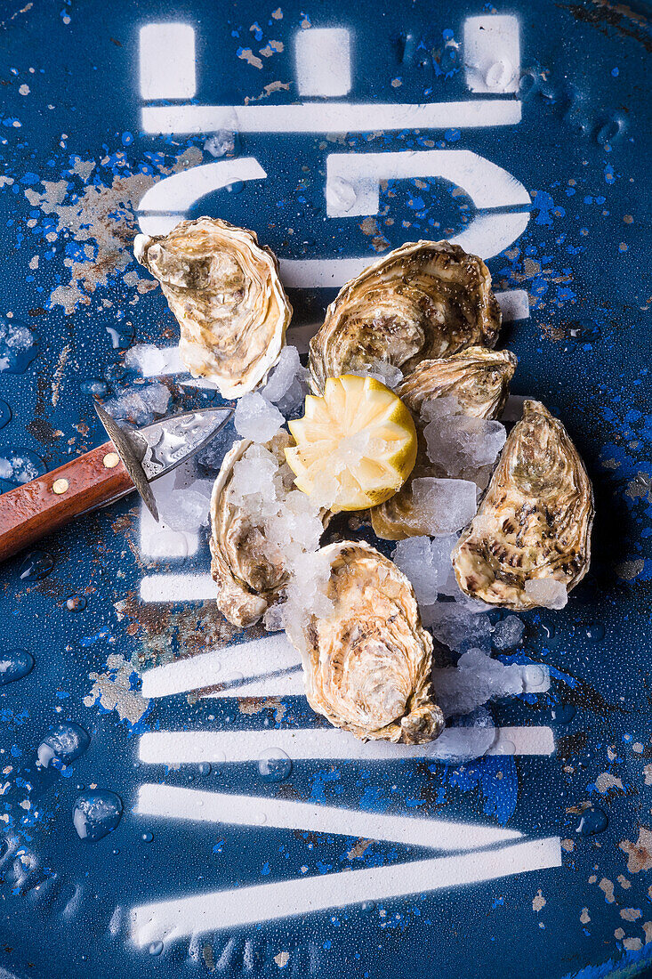 Freshly shucked oysters with lemon