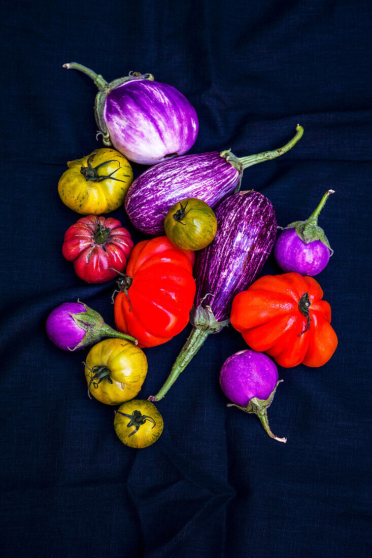 Colourful aubergines and tomatoes