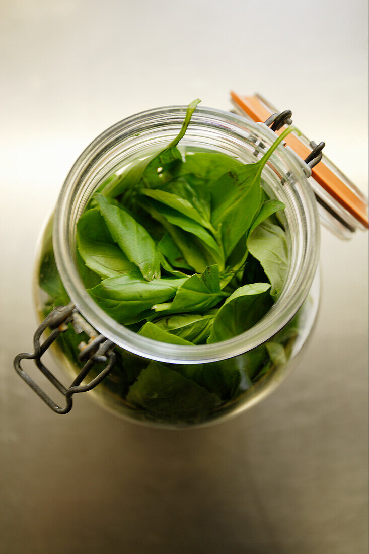 Fresh basil in a glass jar