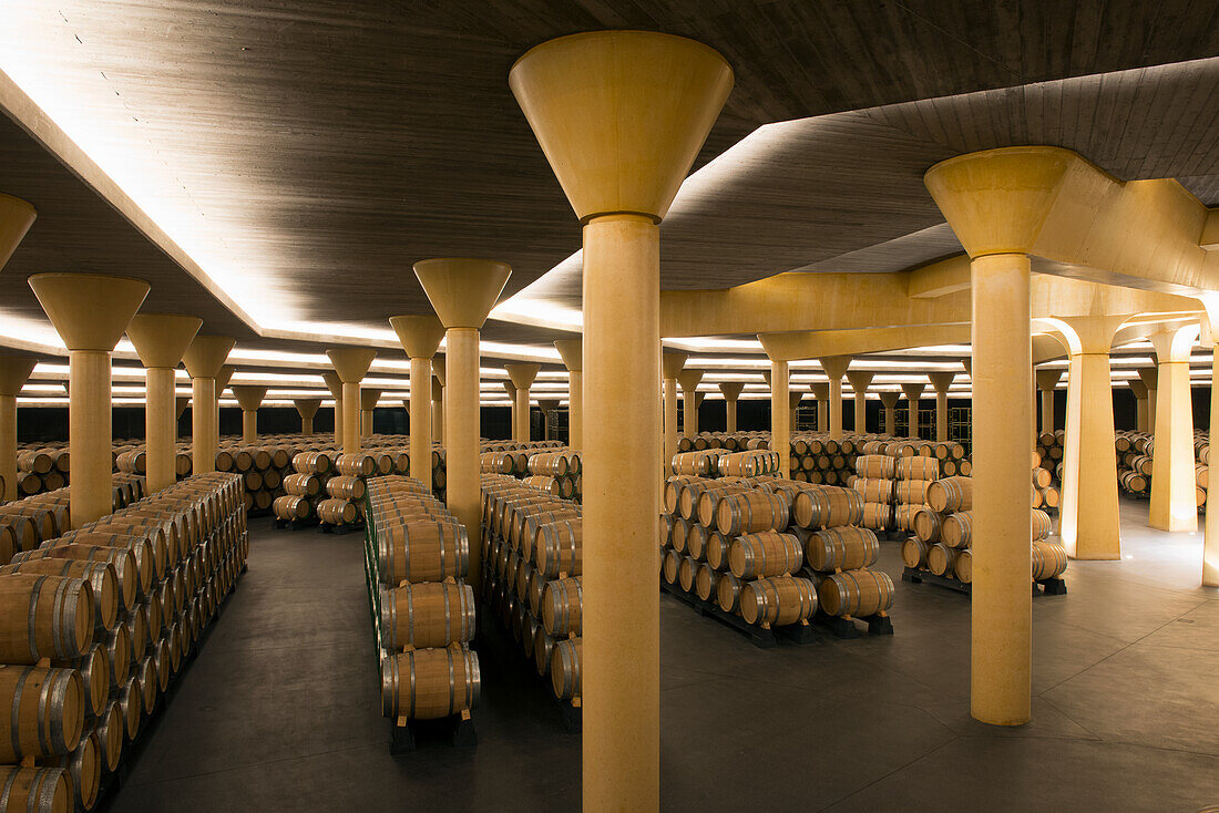 Weinreifungsraum der Bodega Vivanco, Rioja, Spanien