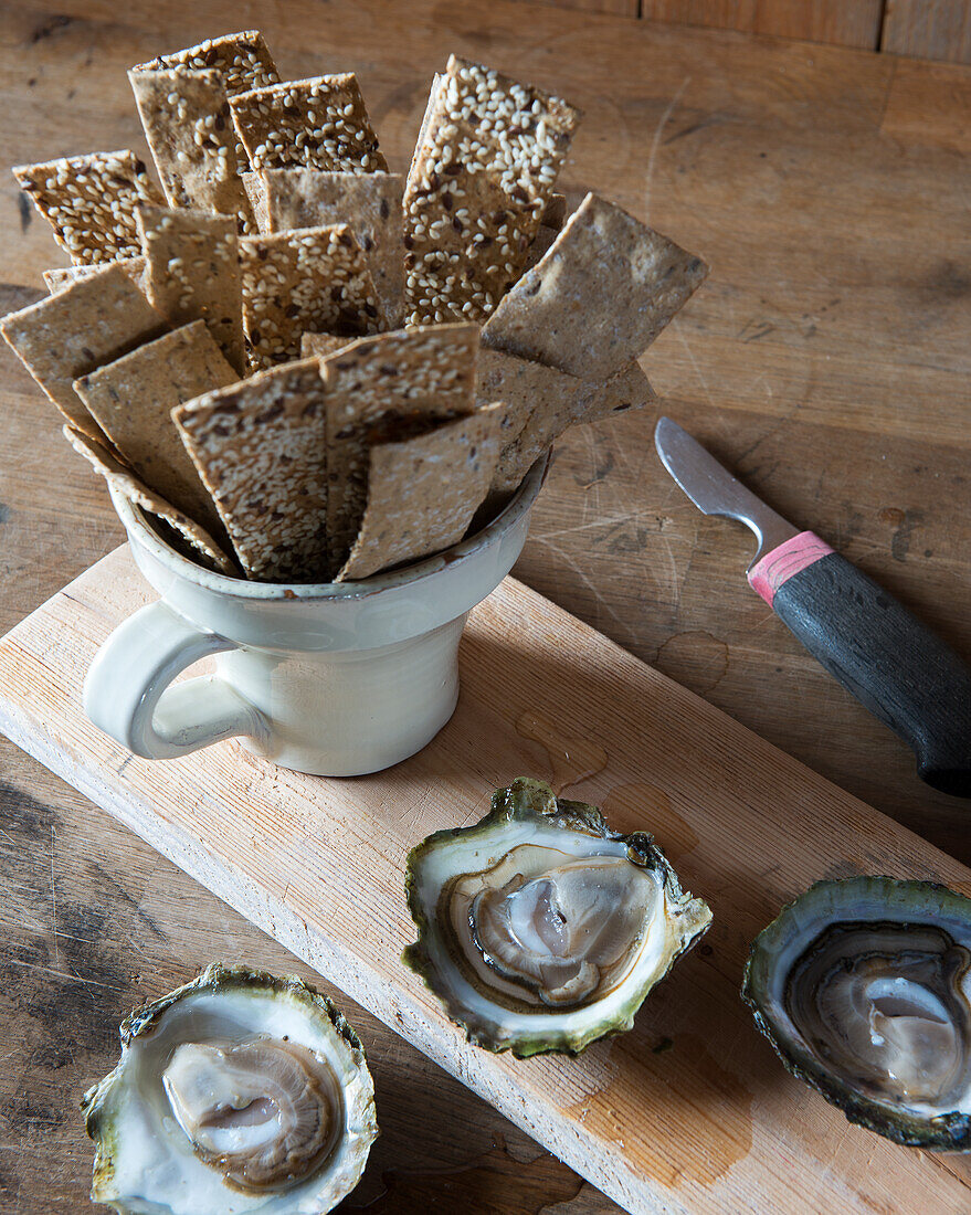 Geöffnete Austern mit schwedischen Knäckebrot