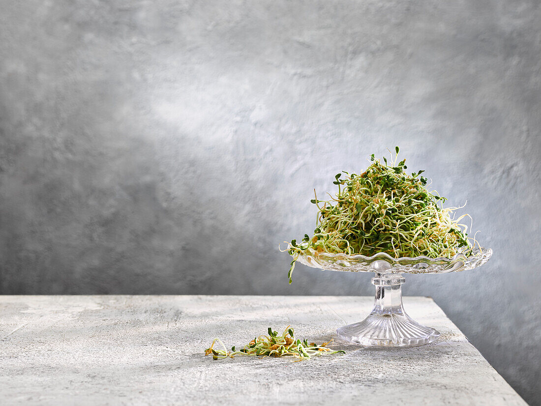 Glass bowl with fenugreek sprouts