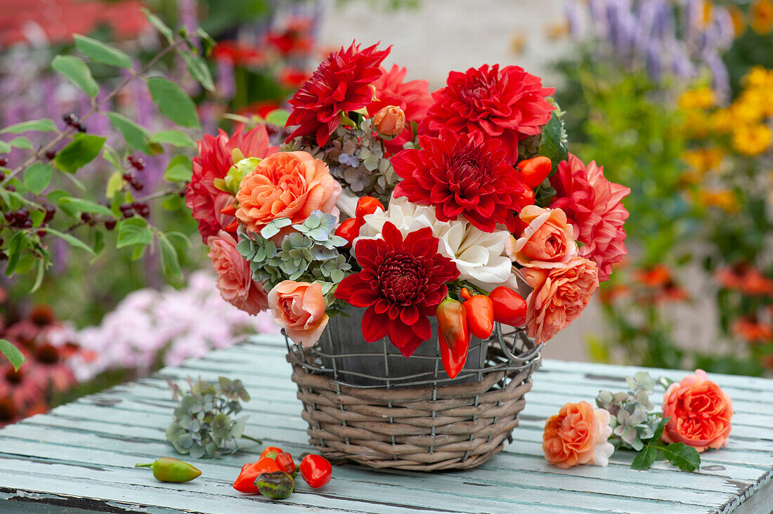 Bouquet of dahlias, rose petals, hydrangea flowers and ornamental pepper 'Salsa' in a basket