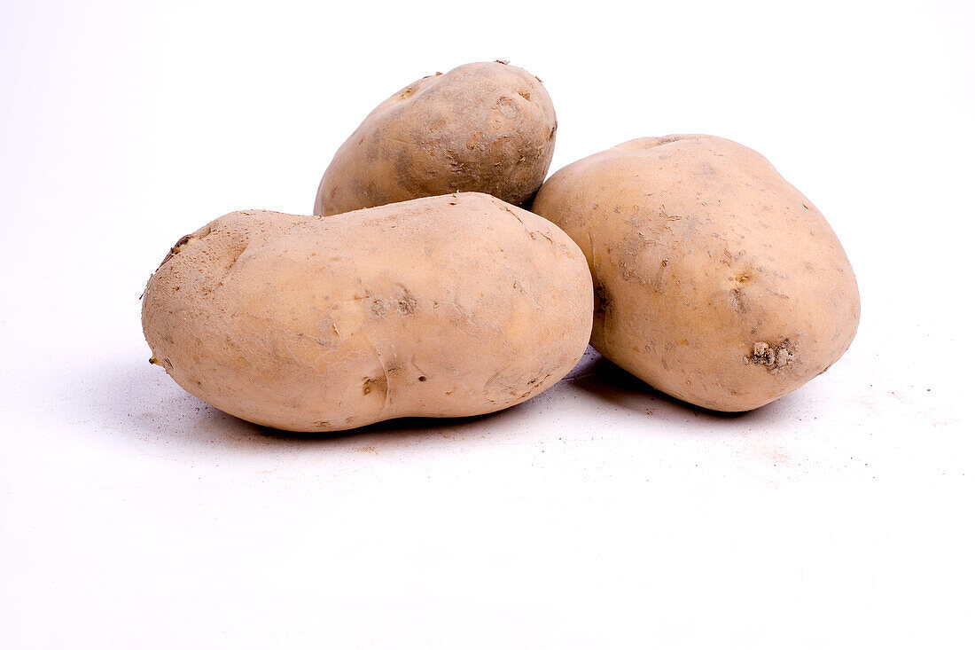 Linda potatoes