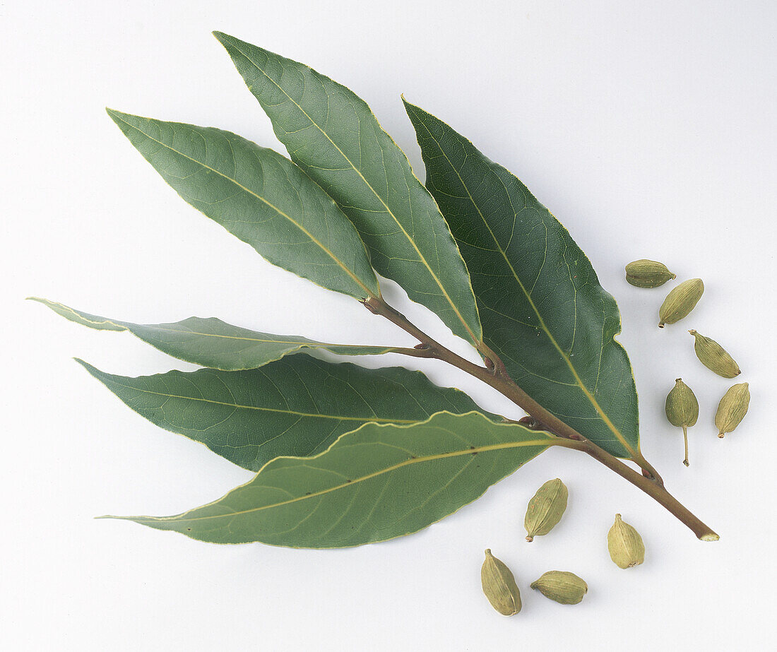 Bay leaves and cardamom pods