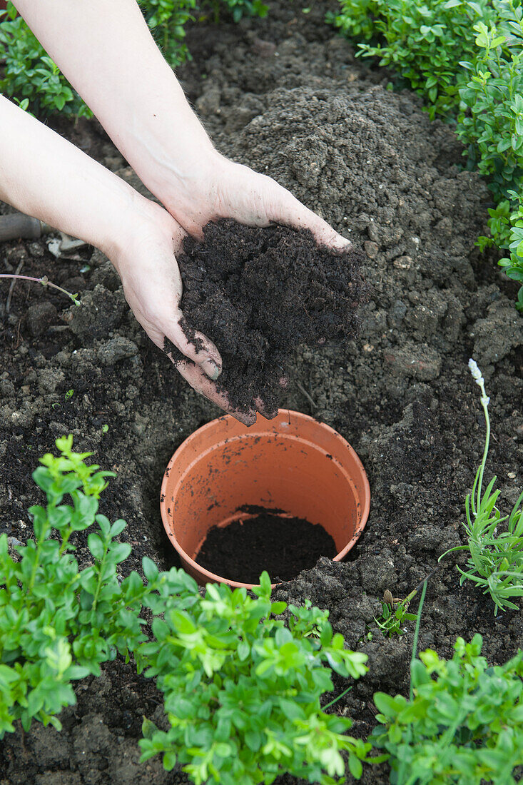 Filling flower pot with soil