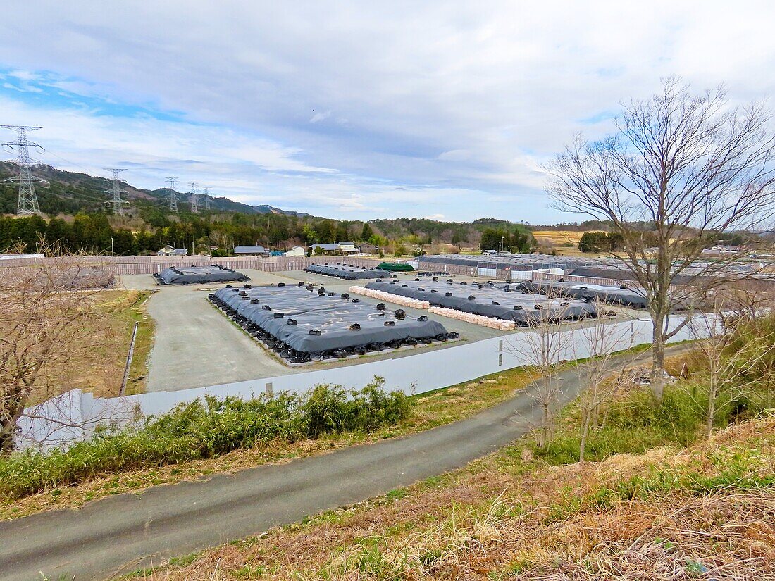 Radioactive soil awaiting processing, Fukushima, Japan
