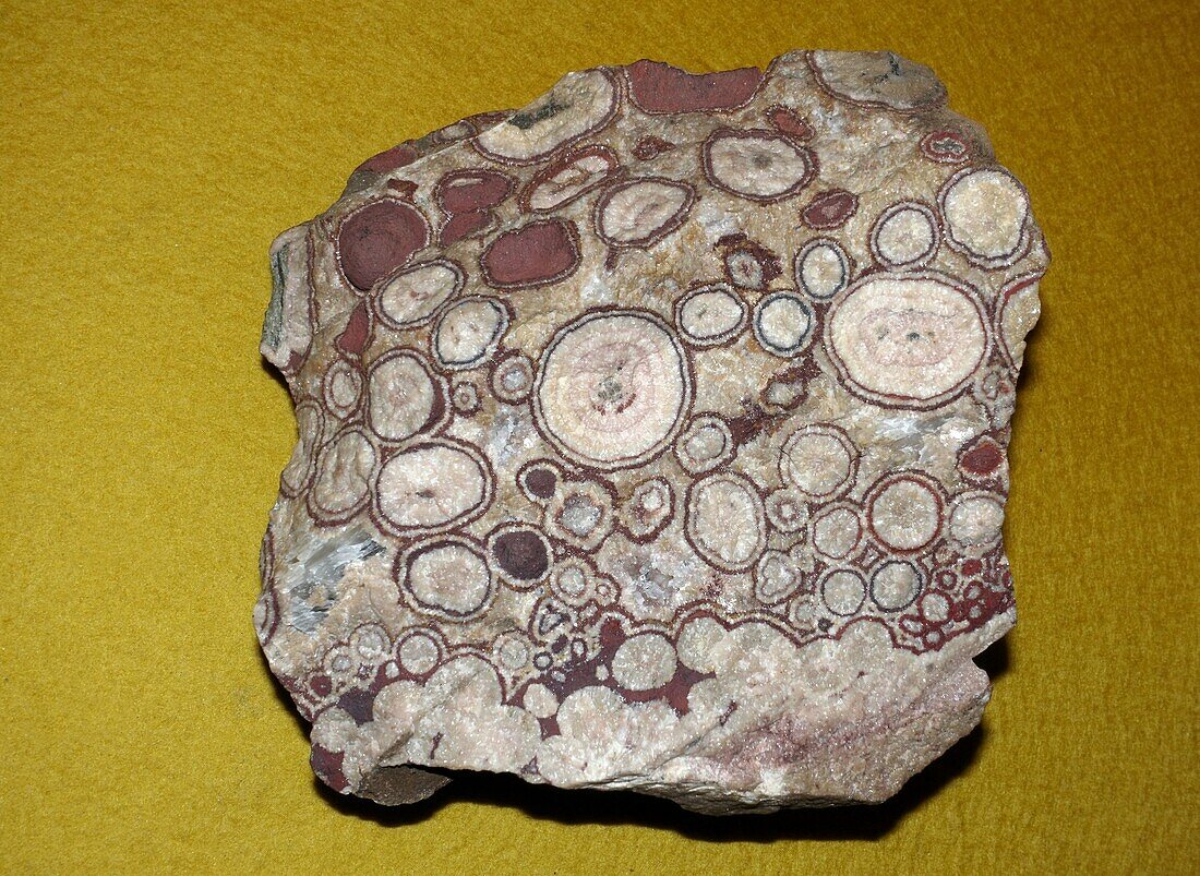 Calcite spherulites