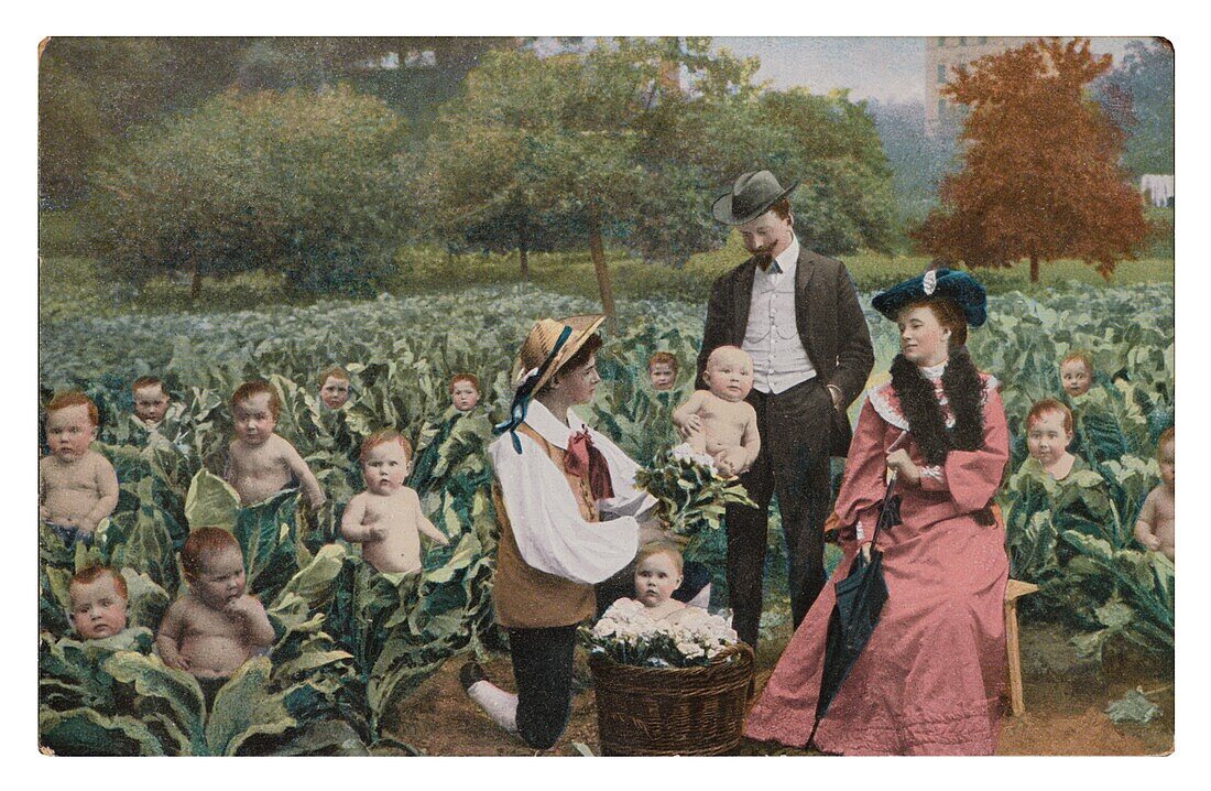 Baby Farm or nursery, postcard.