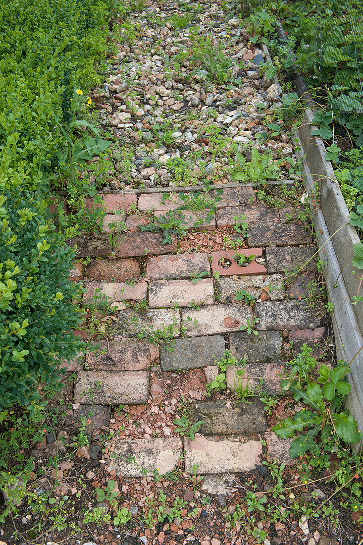 Brick and gravel path