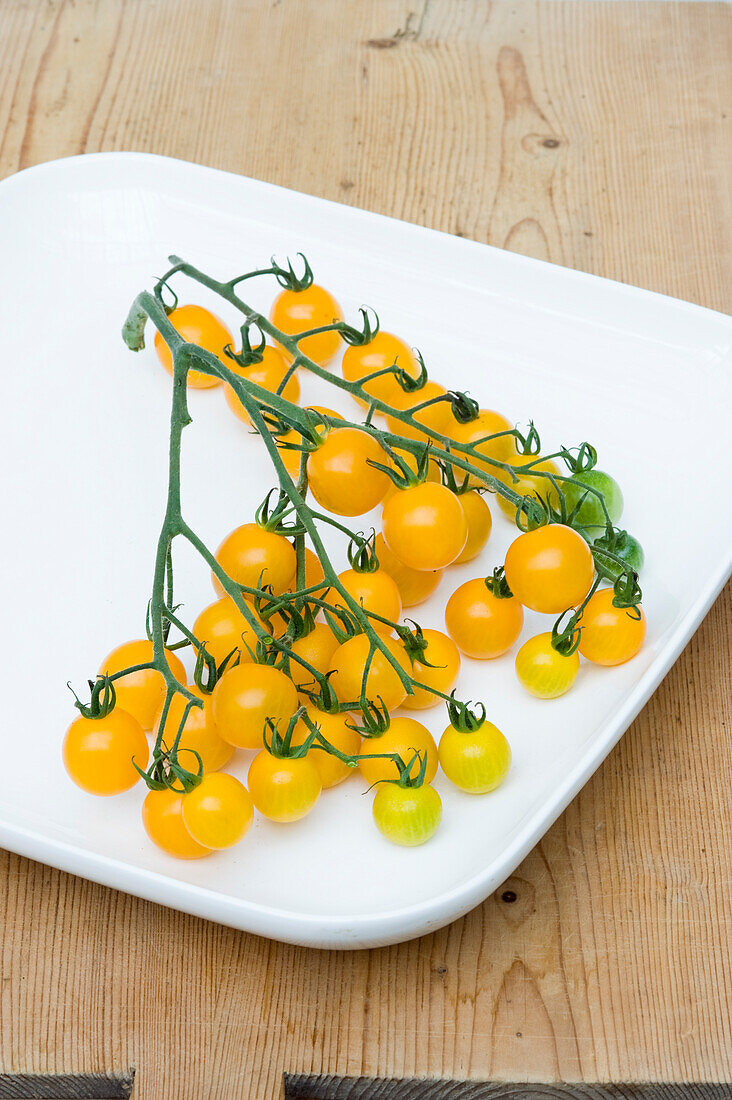 Bunch of golden pearl yellow tomatoes