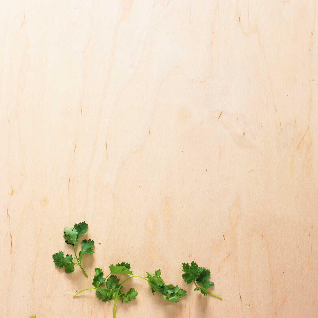 Sprigs of coriander on wooden surface