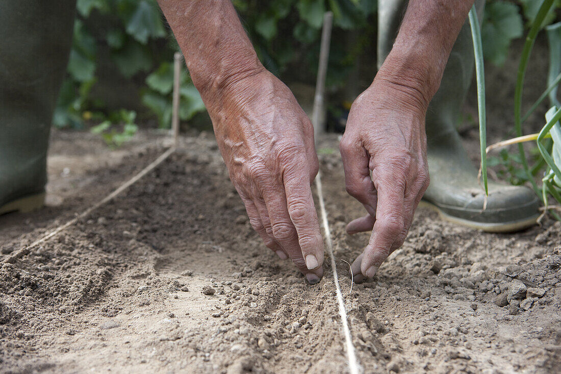 Covering seeds planted in a seed drill