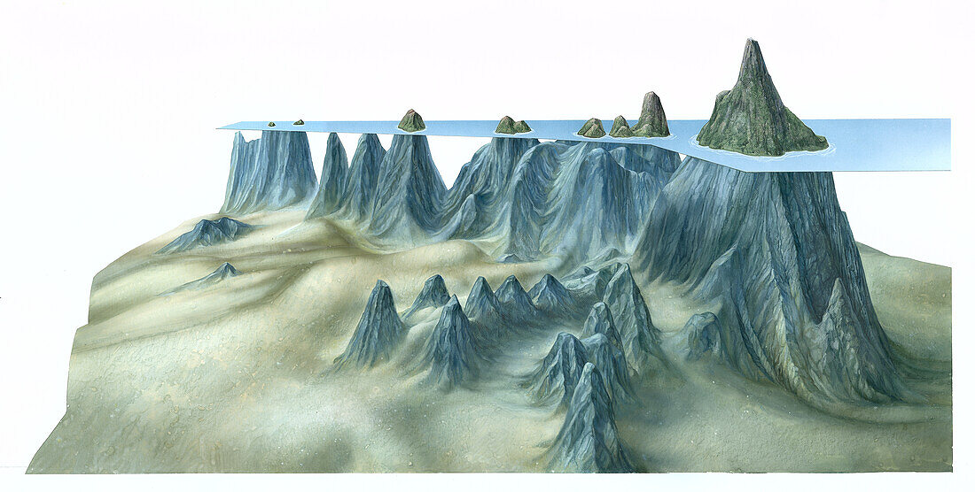 Hawaiian ridge, illustration