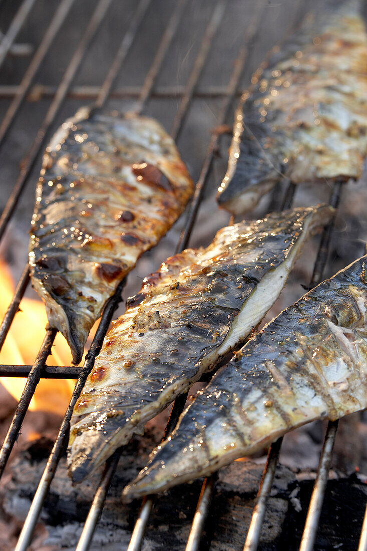 Lemon-pepper mackerel on barbeque grill
